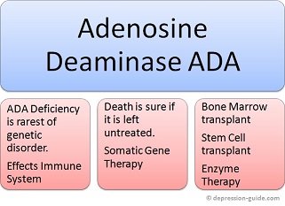 Adenosine Deaminase Deficiency Flowchart