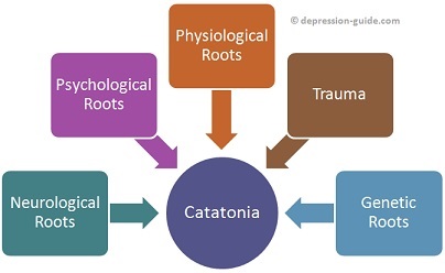 Catatonia has many roots - Graphic